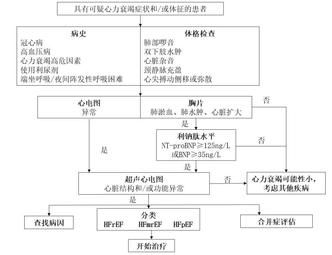 首先,根據病史,體格檢查,心電圖,胸片判斷有無心衰的可能性;然後通過