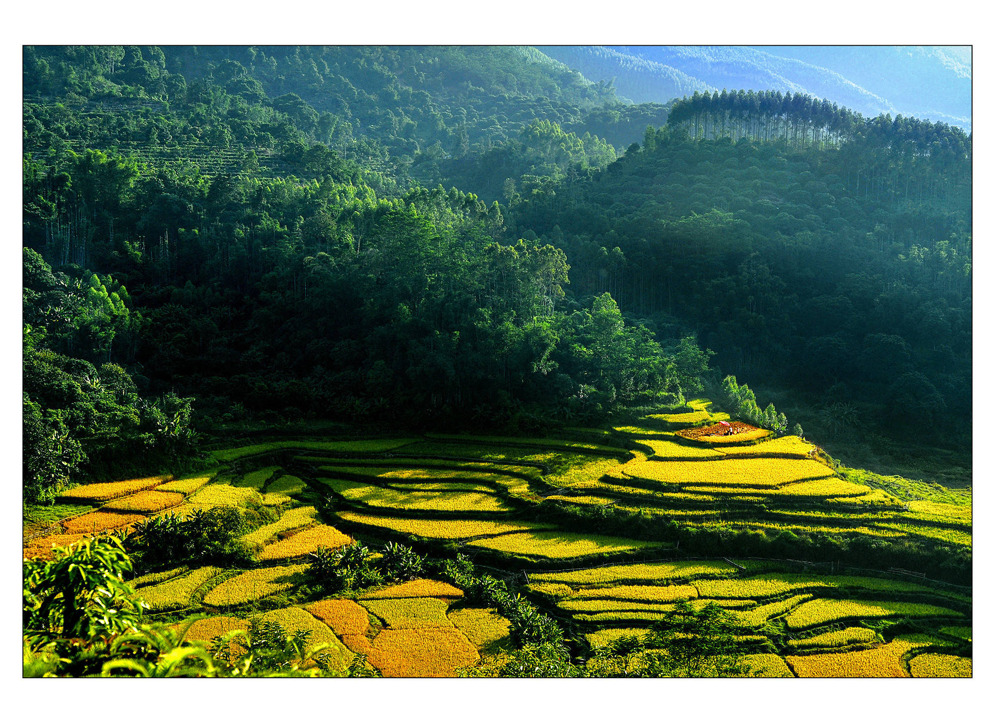 广州增城:遇见秀色邓山 留住美丽乡愁