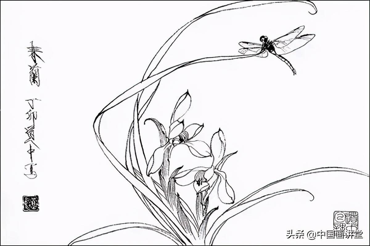 工笔花卉白描技法特点详解难得的好教程