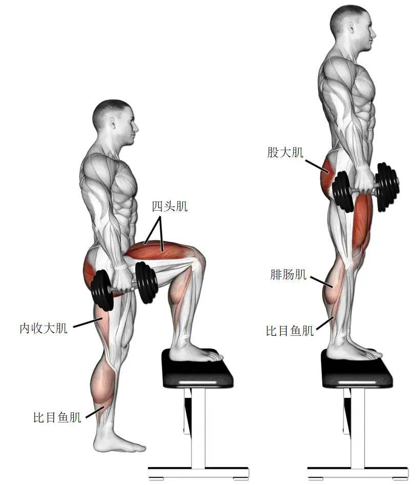 【耀健身】这组腿部训练动作,强化你的下肢力量!