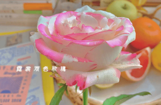 高质量文案句子