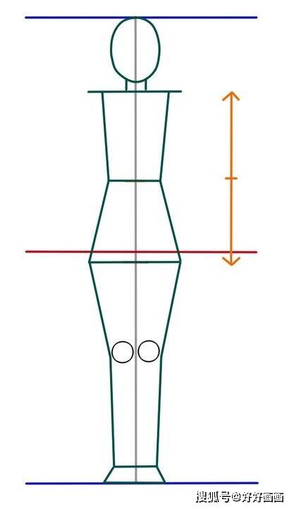 八头身比例图图片