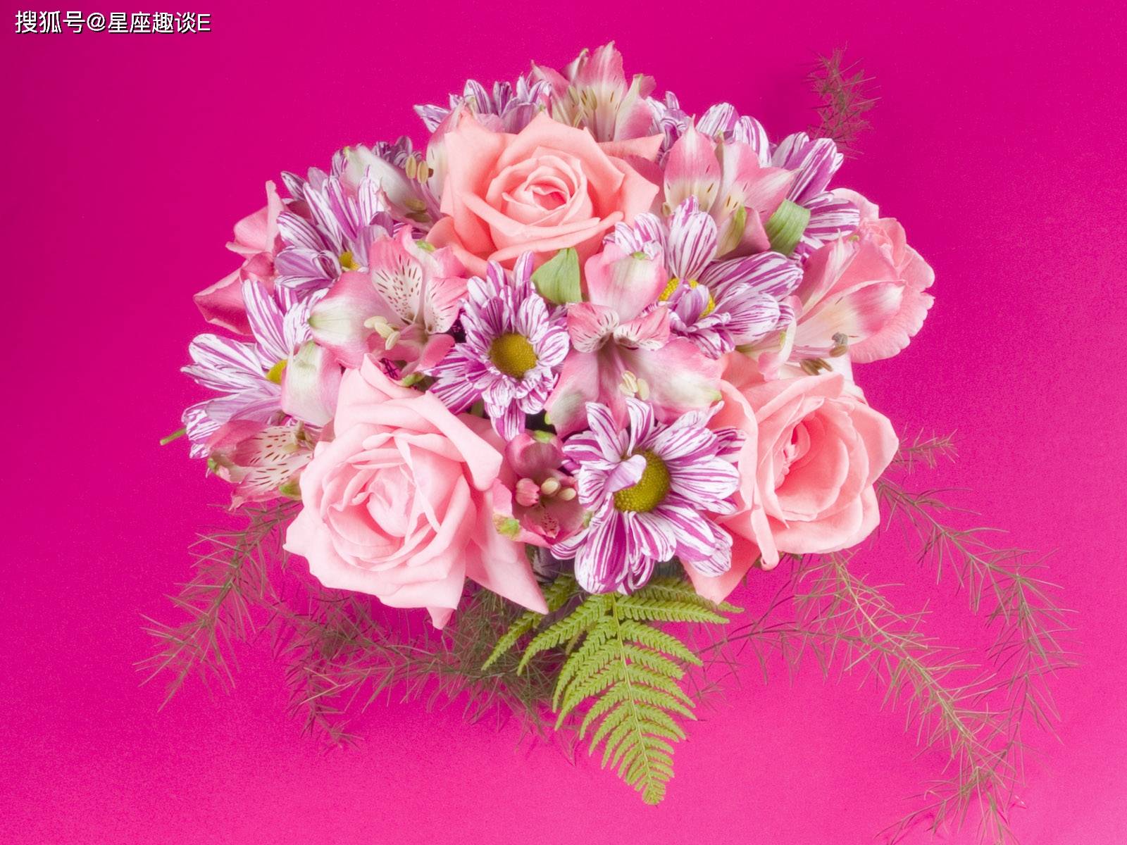 原創12月6日星座運勢 迎接挑戰 大有所成的四大星座 海峽訊息