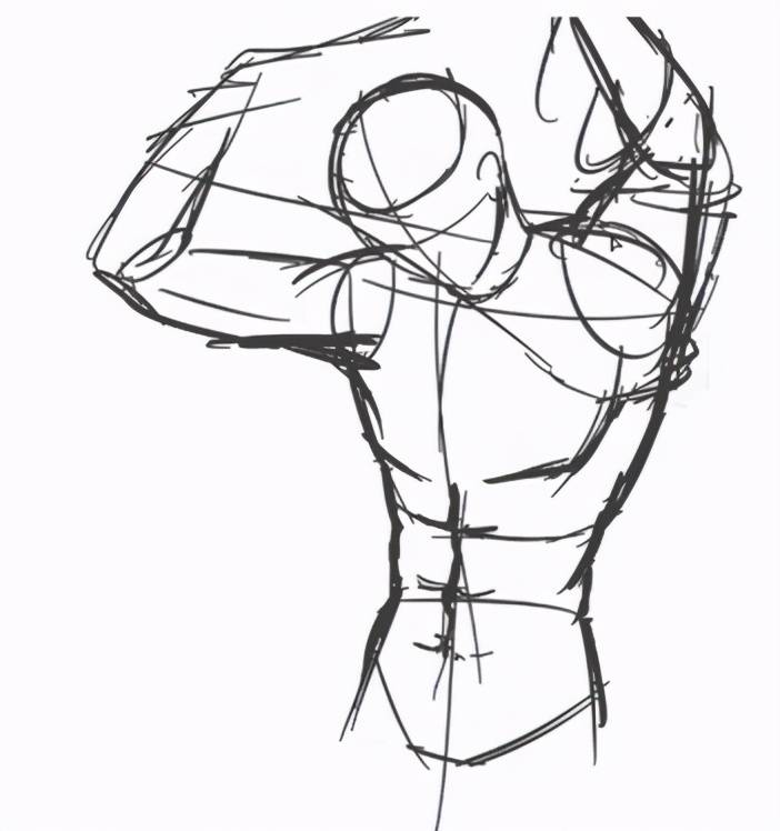 新手正确练习人体肌肉线条教程_手机搜狐网