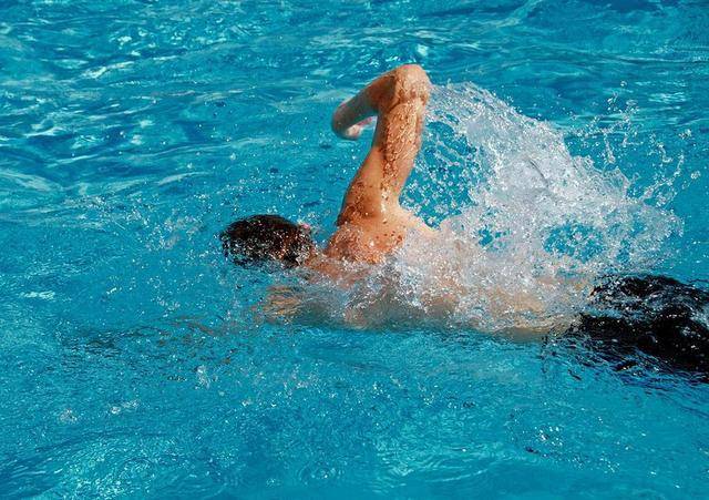 腰背肌功能锻炼 游泳图片