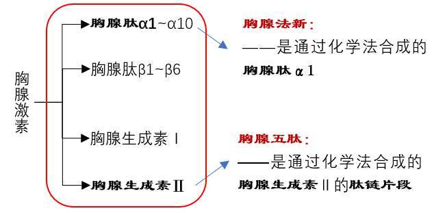 此外,胸腺肽α1(tα1)還在臨床試驗中證明對慢性乙肝患者有效,副作用