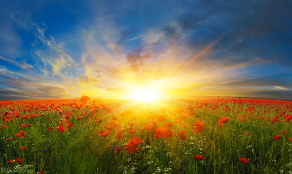 致自己的正能量励志句子,积极向上,愿你心向阳光