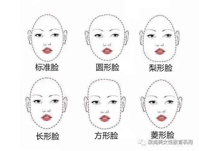 八大风格脸型坐标图图片