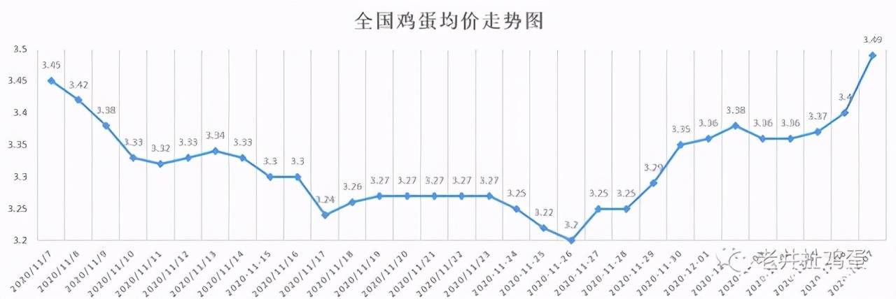 鸡蛋价格涨到新高!根本原因到底在哪儿?