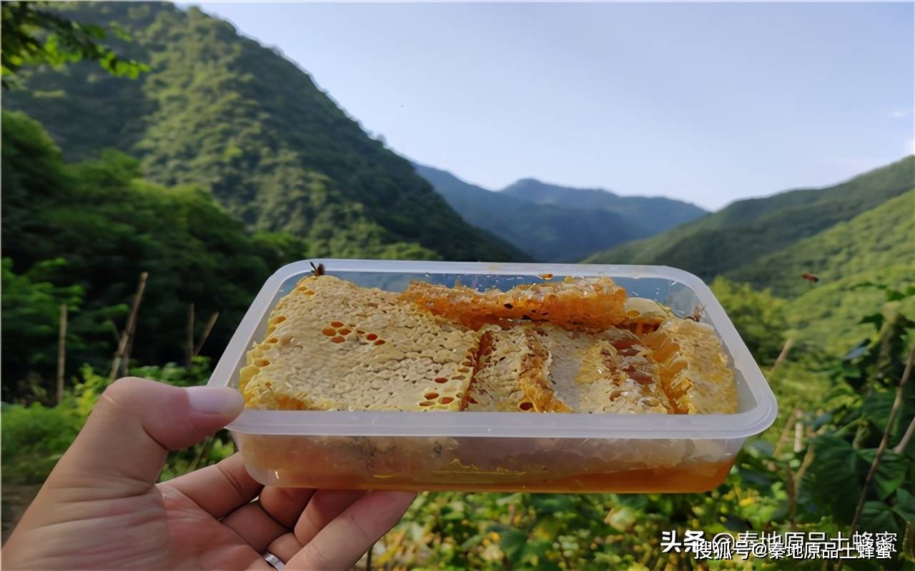 什么是蜂巢蜜,蜂巢蜜治病是真的吗?别再听黑心商家忽悠了