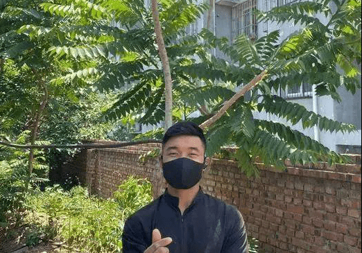 河北小伙刘阿楠拒绝400万年薪靠捡废品实现财务自由