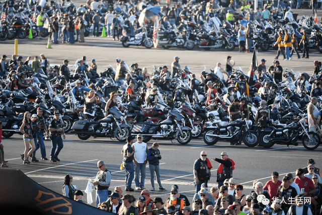 半年前被捧上天,如今人设崩塌!最大胆网红,靠坑中国爆火_崔娃