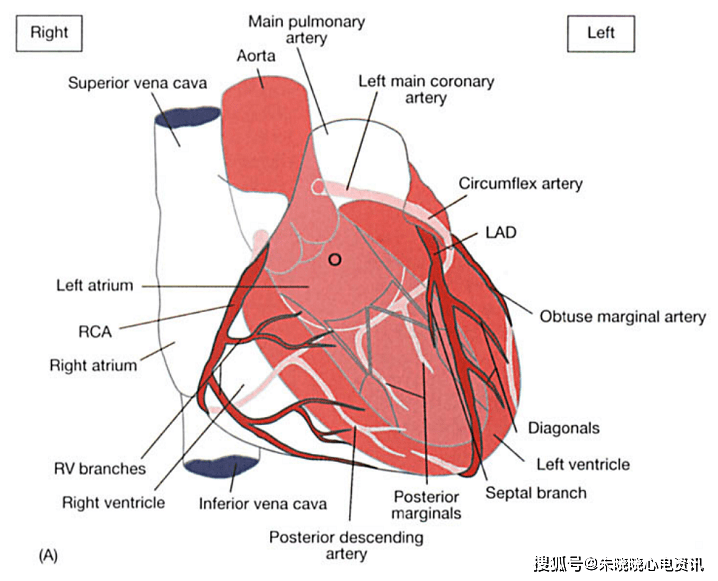 额面电轴环投影在六轴系统上