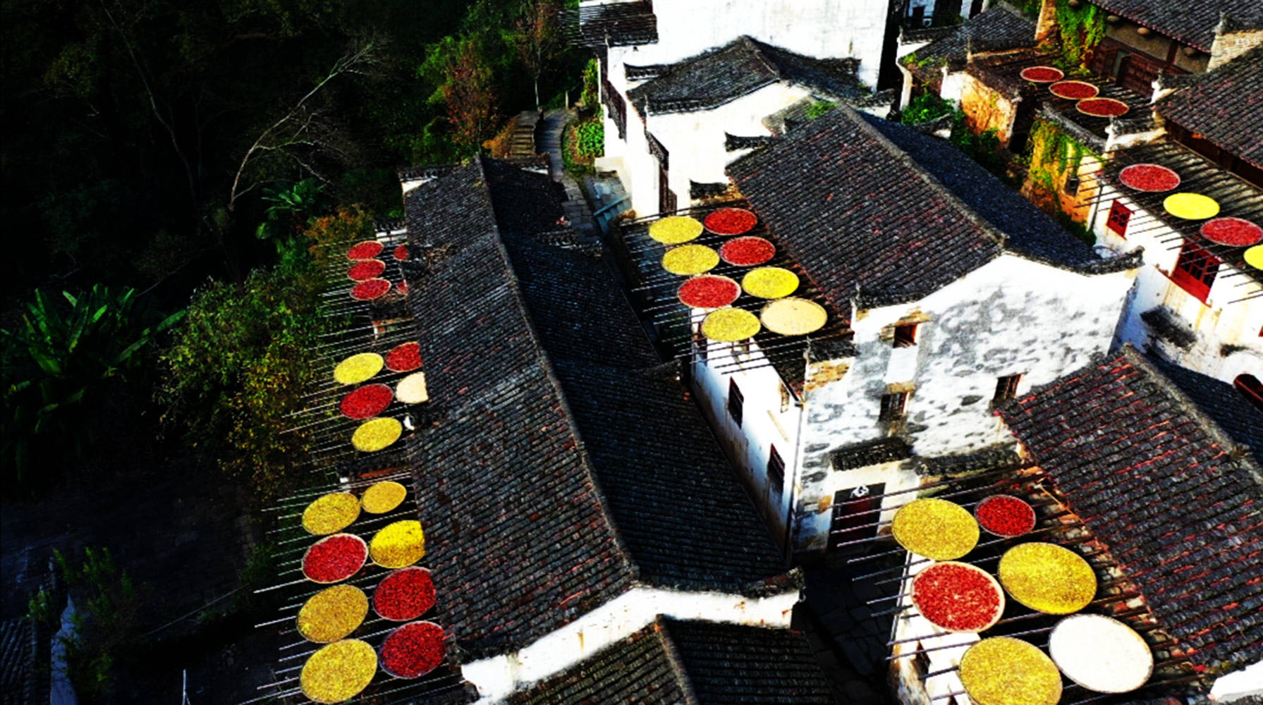 篁岭雇人"晒秋",晒出"四季"秋韵!_东西