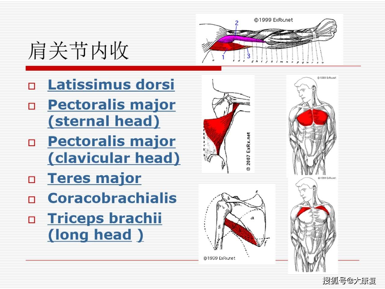 中风后肩痛的预防