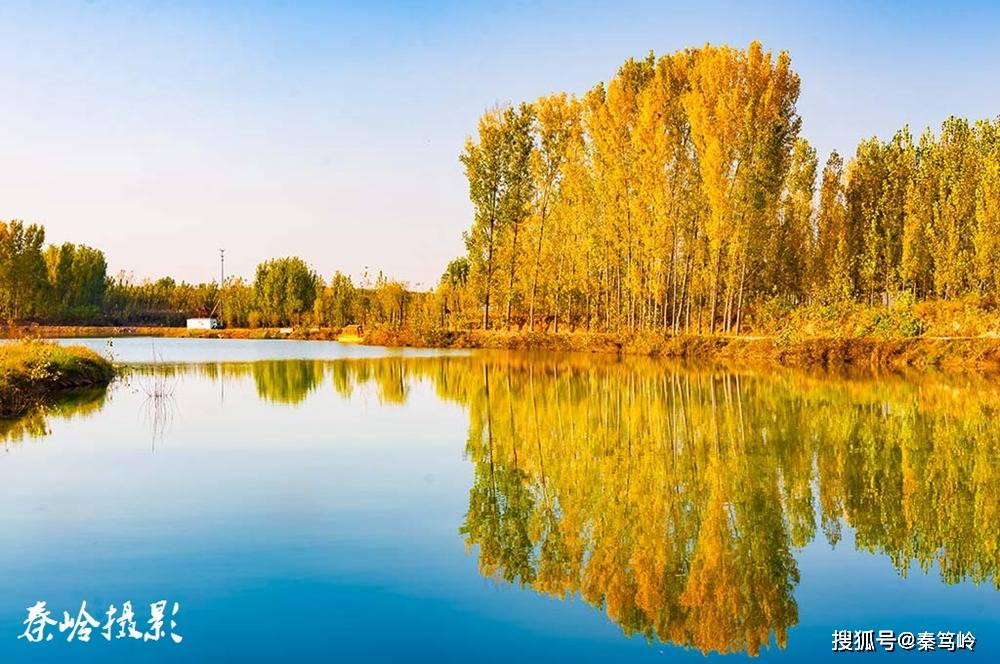 济南平阴浪溪河一袭最美秋色_手机搜狐网