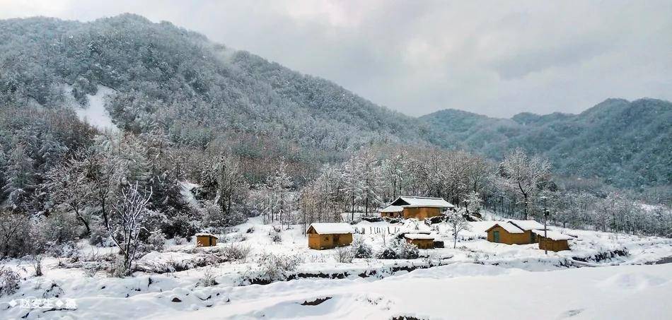 天水最美鄉村雪景圖你怎麼能錯過快一起來欣賞