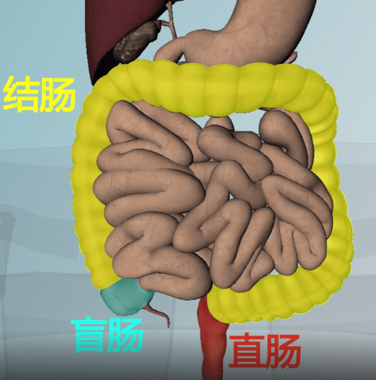 关于肠镜检查你要知道.