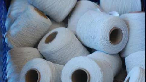 弹性纤维都有哪些快点进来涨知识啦