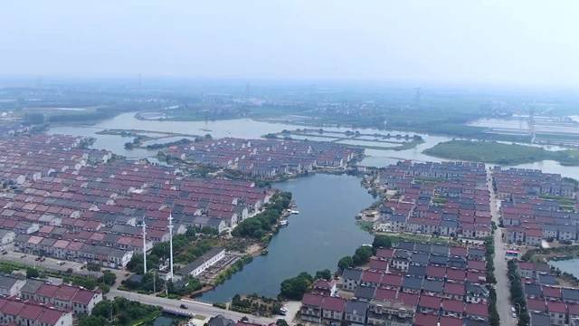 frank打开长三角盲盒③汾湖上的水葫芦去哪了