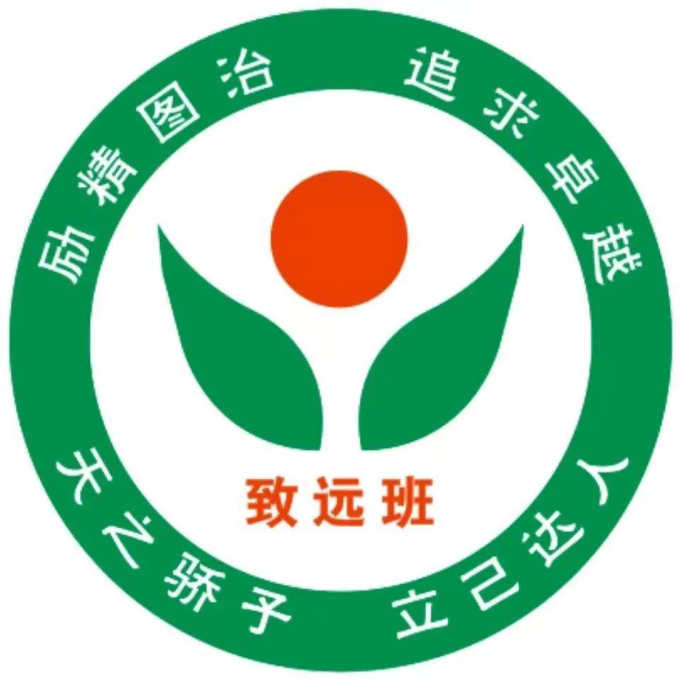 非卓越无以辉煌周口天立学校八年级精英1班风采展示