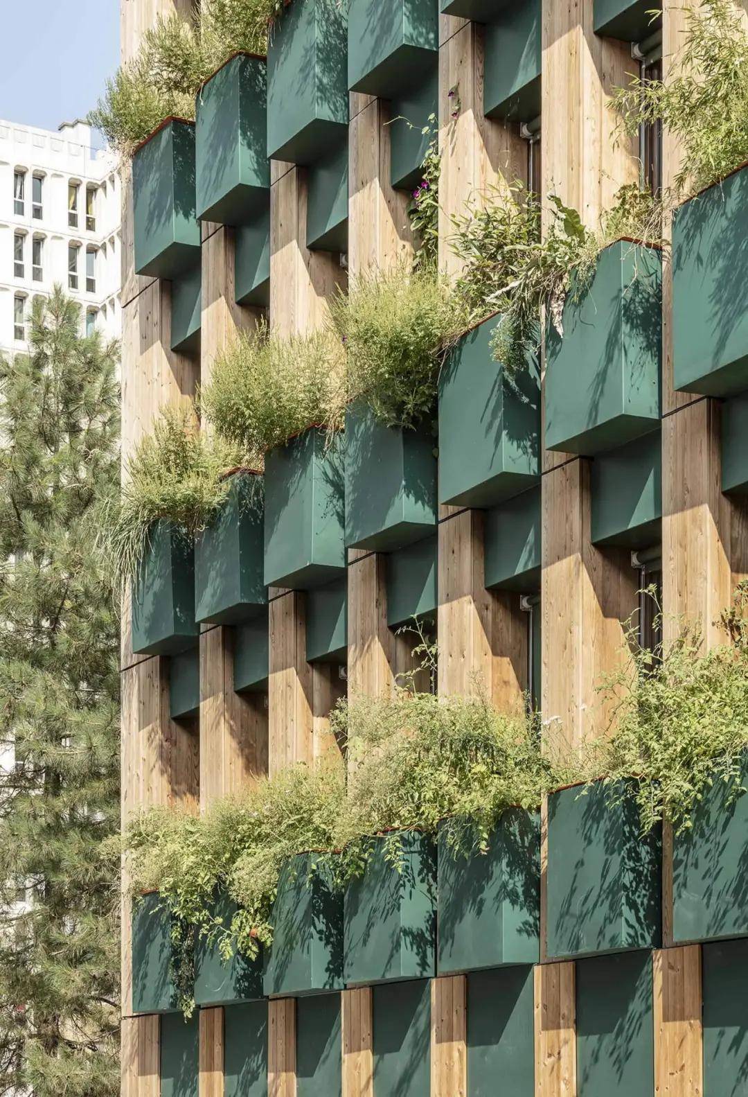 空中农场公寓edisonlite