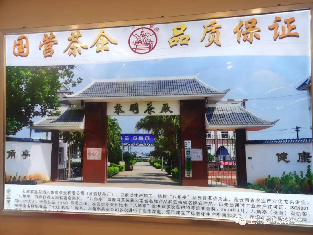 热烈祝贺云南农垦集团勐海八角亭茶业有限公司上海办事处正式成立!