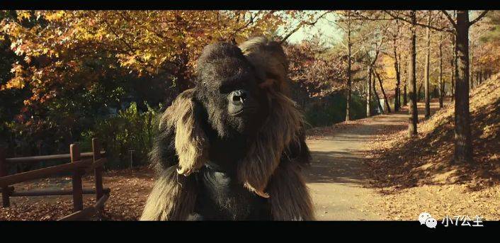 原创秘密动物园韩国又出爆款抖音上刷屏