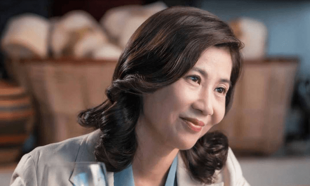 《巡回检察组》乔逸扮演者是"楚云飞"女儿!颜值演技遭吐槽