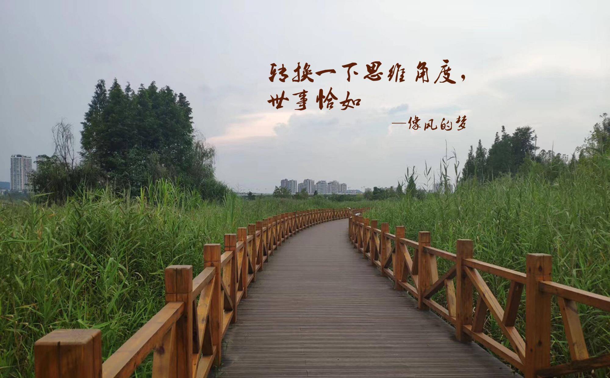 真正的单纯,不是长不大的幼稚,而是成熟后的返璞归真