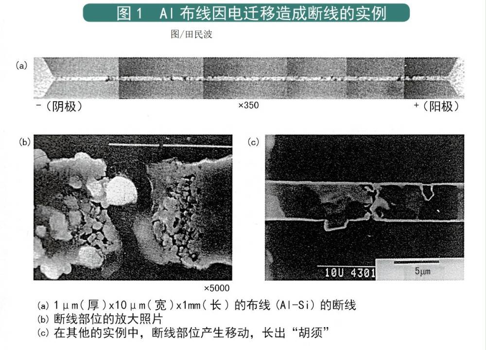 與鋁原子發生碰撞,將動量轉移給鋁原子,使其往陽極移動,久而久之形成