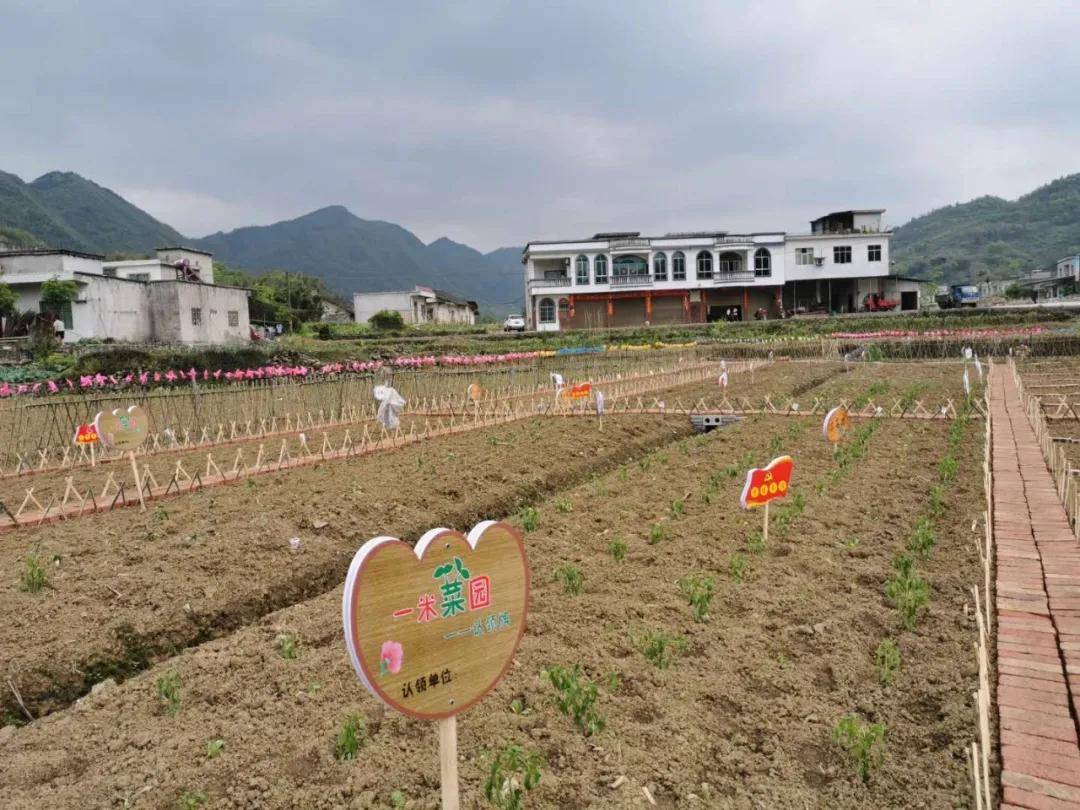 创建天府旅游名县四川兴文一米菜园带你领略田园风光体验农耕乐趣