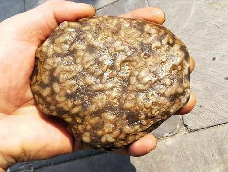 江西除了產黃蠟石，原來還產這種石，密集恐懼者慎入！
