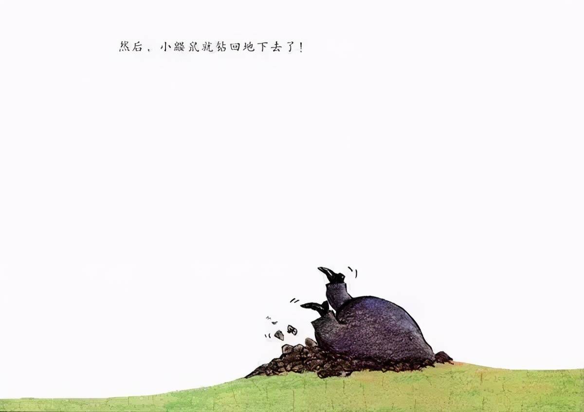 《是谁嗯嗯在我的头上》:可以让娃尽情探索,ta爱的各种"便便"_绘本
