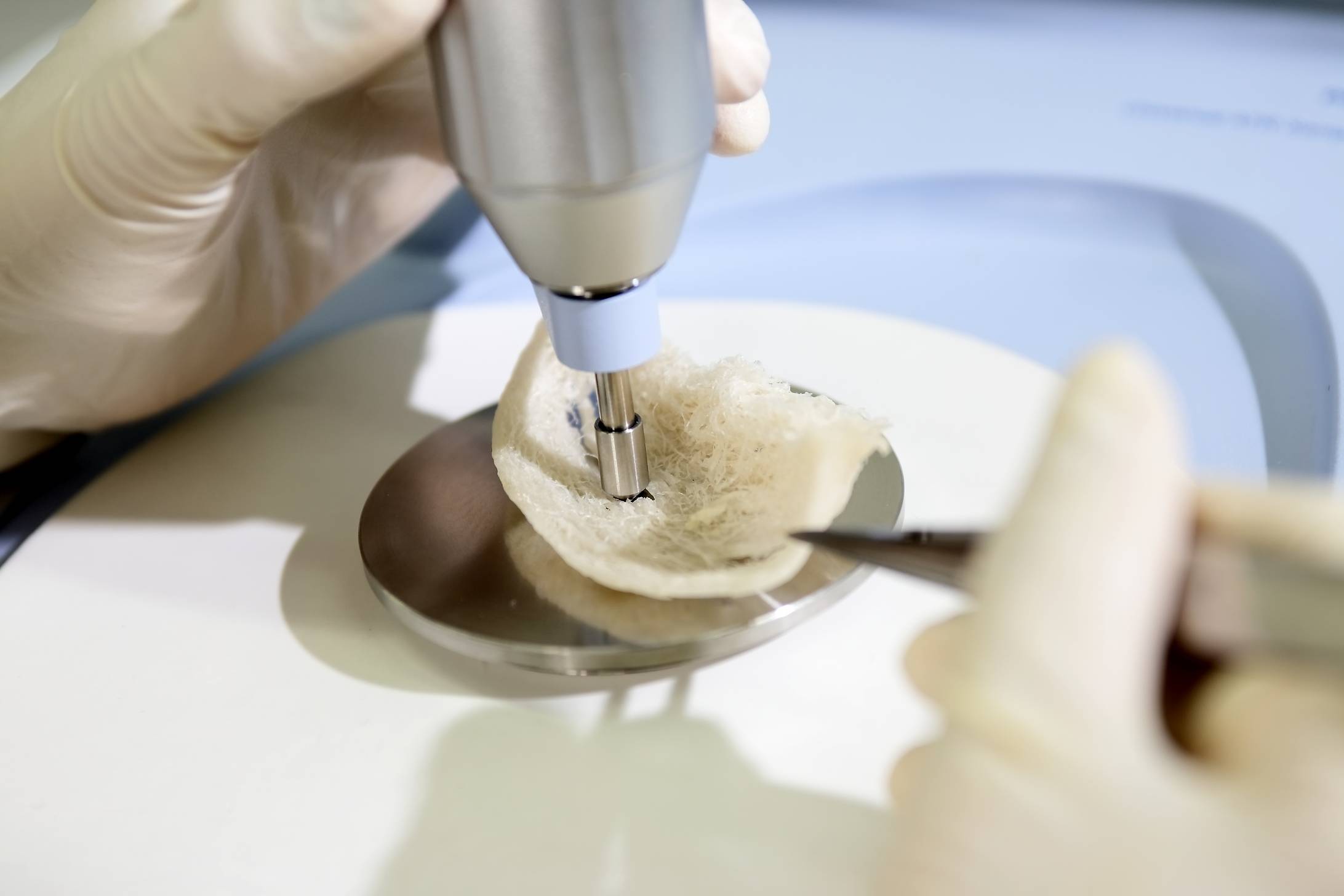 燕窝该如何辨别电商打假的那些事儿