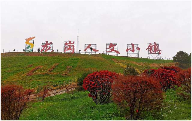 河南鹤壁市龙岗人文小镇托管签约仪式在淇滨区钜桥镇举行