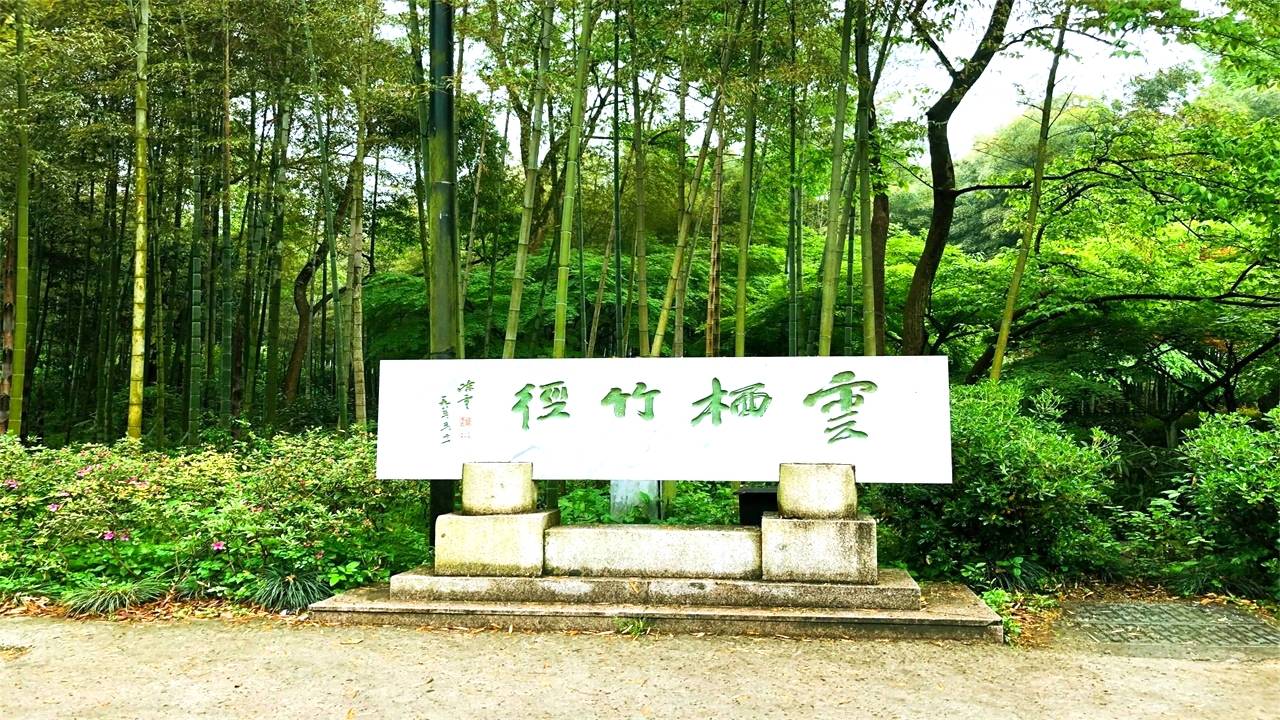 杭州西湖边冷门景区，竹子数量全城第一，虽然很美游客却不多