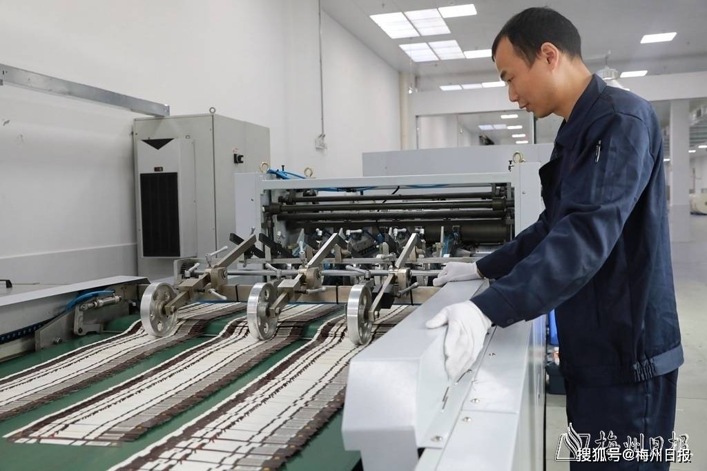 广东泰金智能包装有限公司(四)矿山机械生产项目