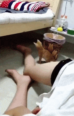 搞笑gif段子:看着都心疼,要不要给她两百块钱,让她重新买一条裤子