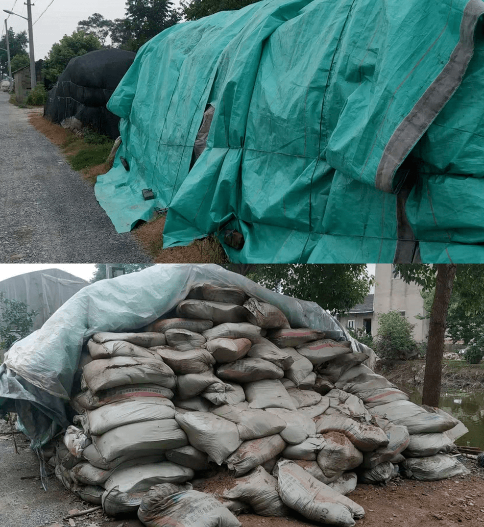 探讨鸡粪腐熟了施用就一定安全吗未必