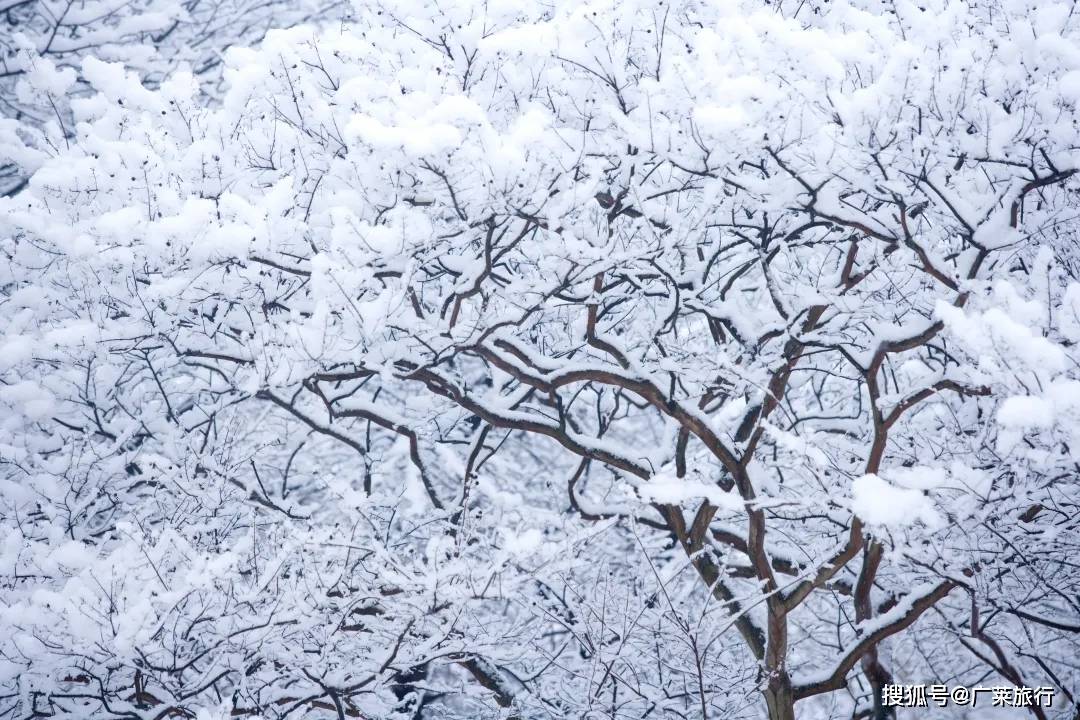 共赴冬日长江以南之约，在重庆这3个滑雪场的茫茫白雪下驰骋飞扬吧！！