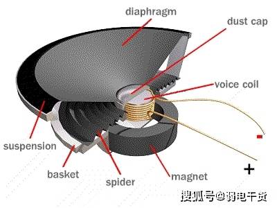 喇叭單體的構造與種類介紹