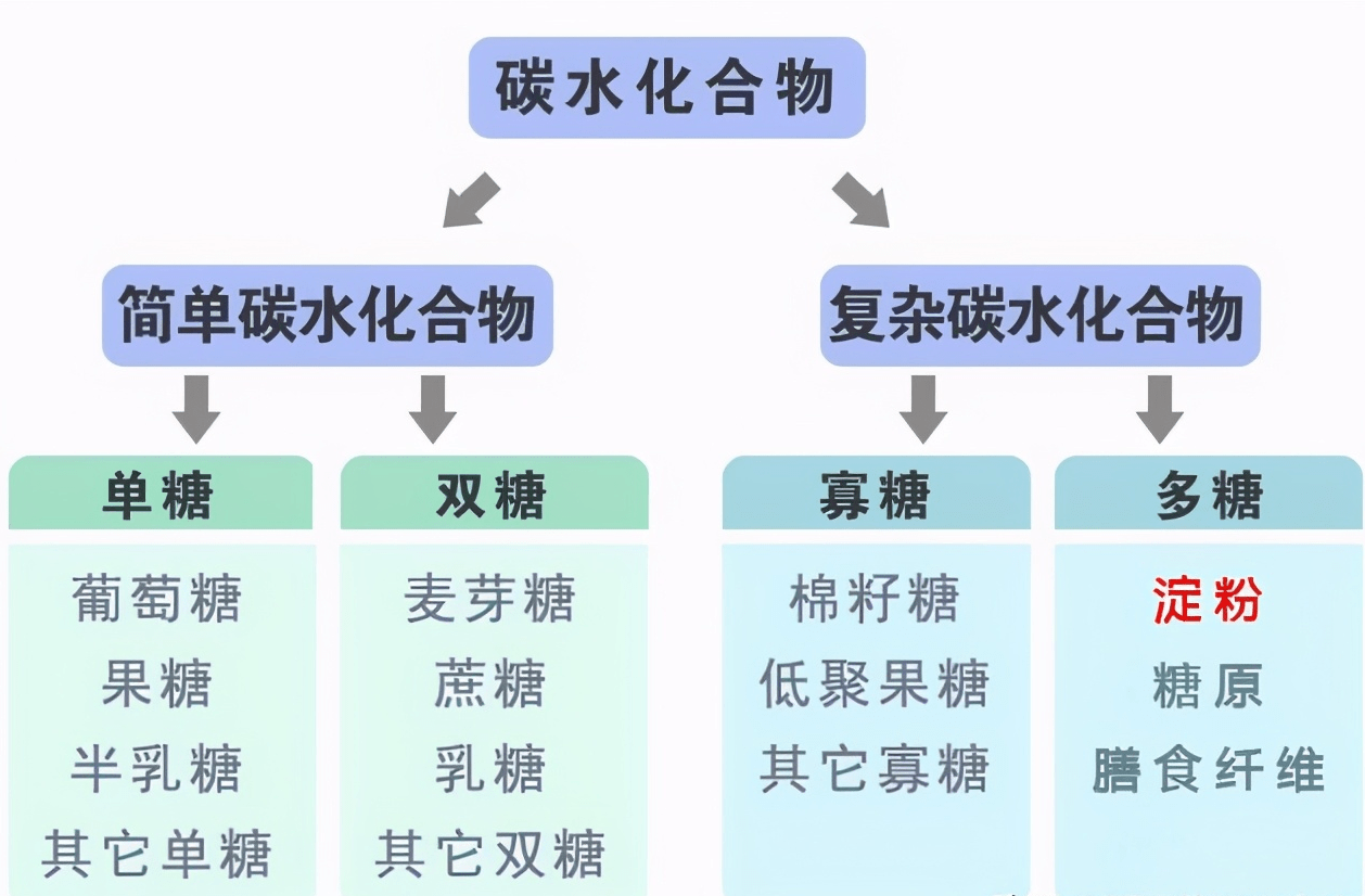 碳水化合物的分类图片