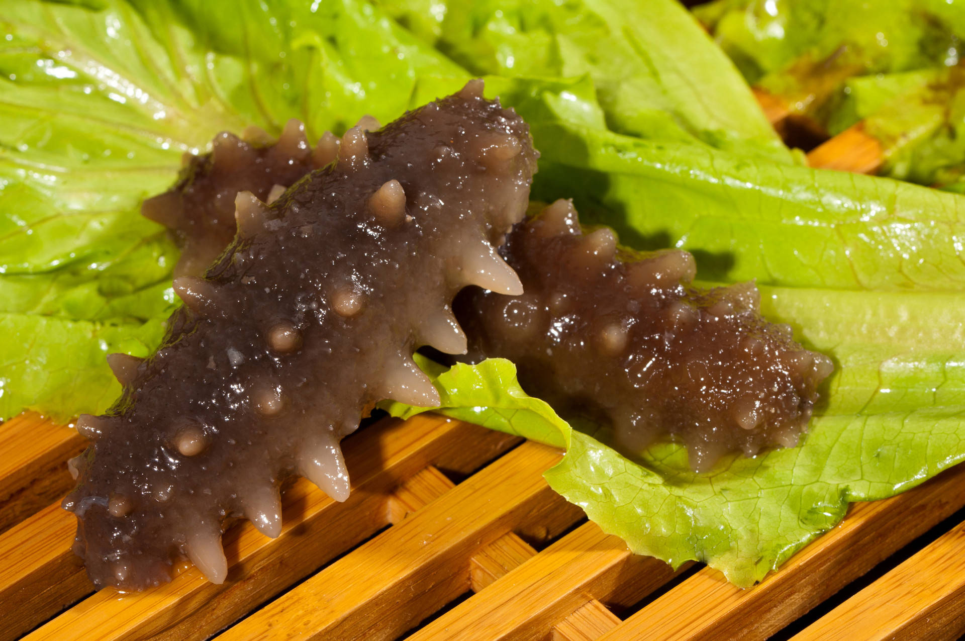 子野文化食材品荐 | 海参_手机搜狐网