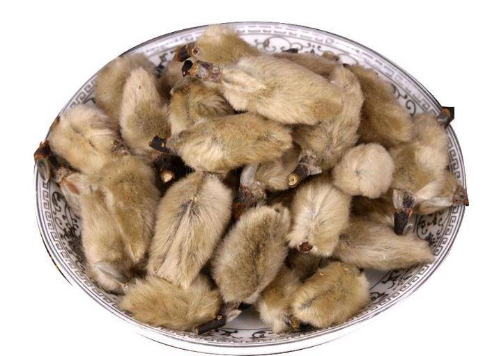 辛夷花搭配鸡蛋煮一煮鼻炎鼻塞流鼻涕一治一个准