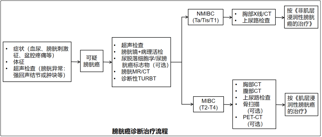 行业研究膀胱癌免疫检查点抑制剂药物回顾及市场机会分析