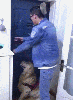 原创搞笑gif段子5兄弟你在这理发有点屈才了