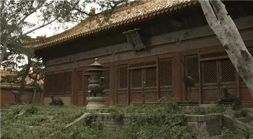 听北京城老人说，故宫那个没有对外开放的冷宫，才是真实的紫禁城