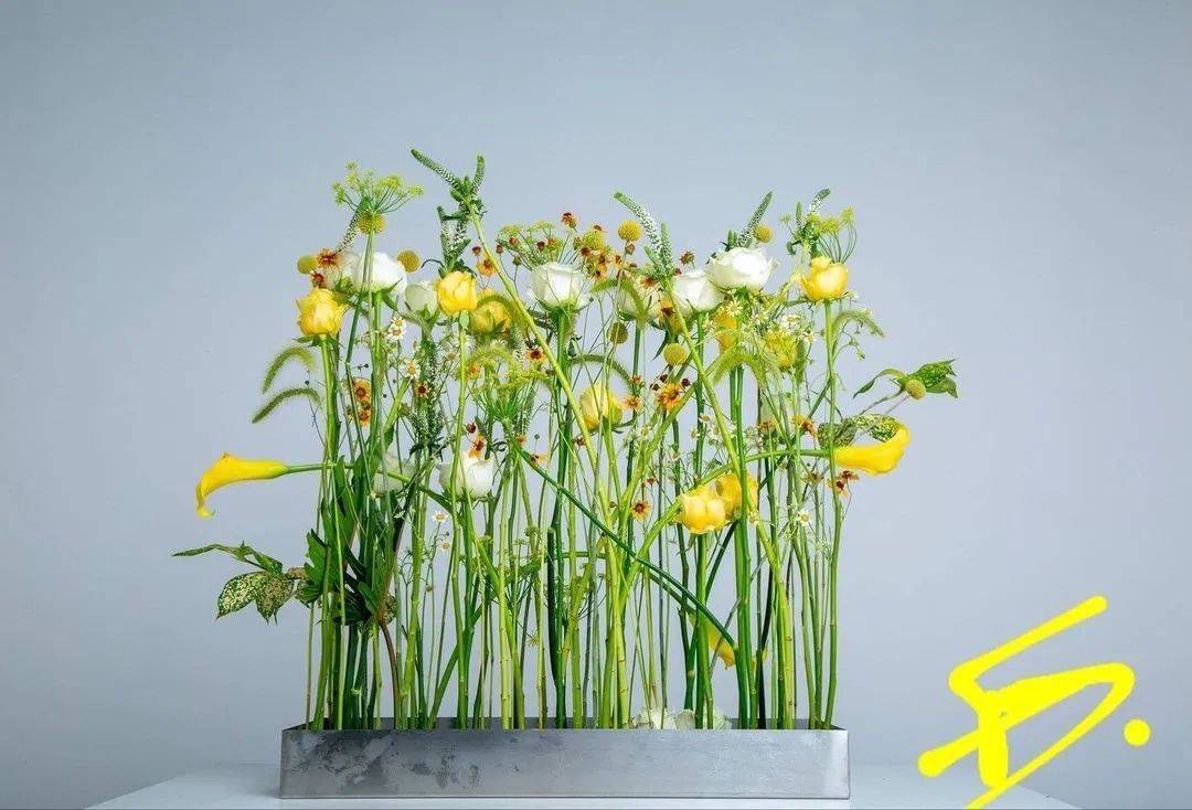 平行花艺设计到底有什么用