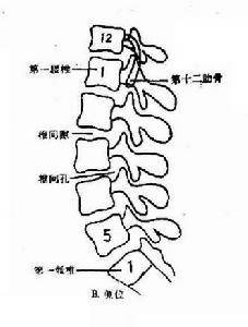 延安椎间盘突出邱悬壶图片